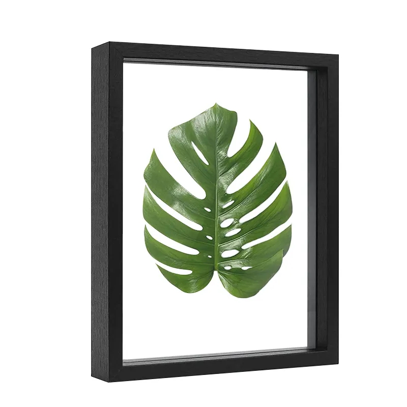 Natural Wood Plant Specimen Transparent Double Sided Photo Frame